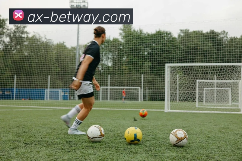 BETWAY必威官网平台生态图